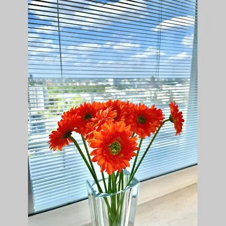 Orange 2 2xmetro Fast Wifi 50'tv Netflix Hbo Appletv+ Panorama Appartement